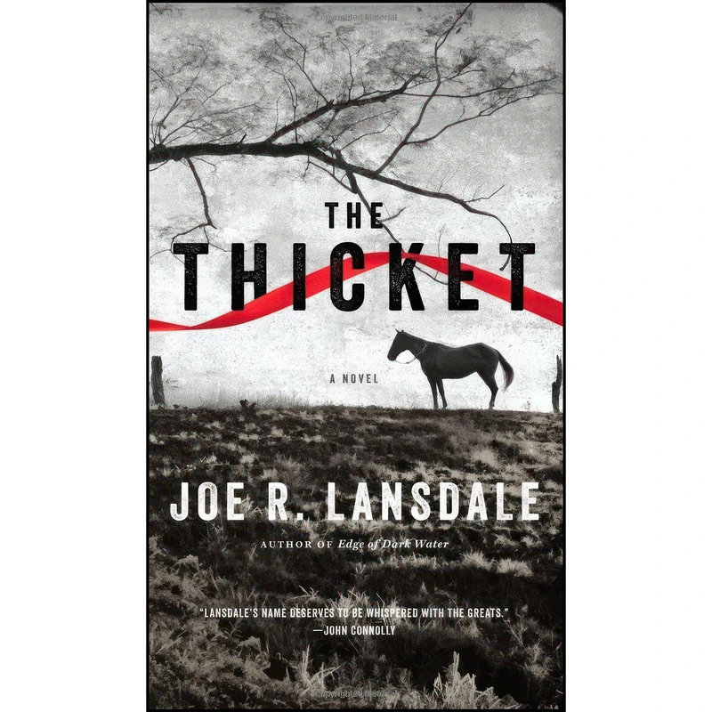 کتاب The Thicket اثر Joe R. Lansdale انتشارات Mulholland Books