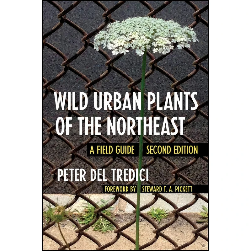 کتاب Wild Urban Plants of the Northeast اثر جمعي از نويسندگان انتشارات Comstock Publishing Associates