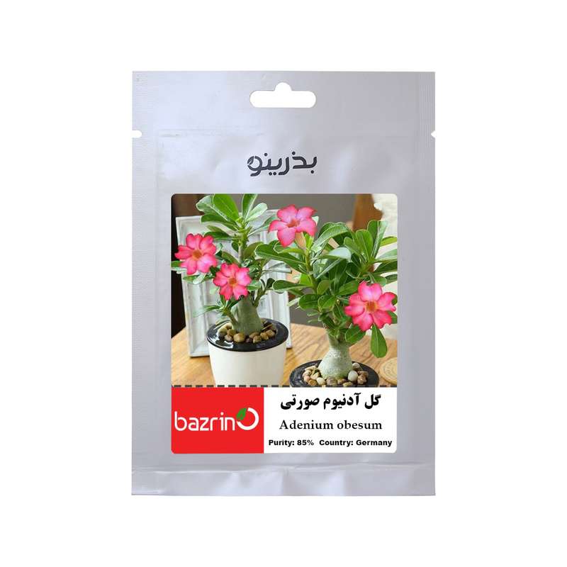 بذر گل آدونیوم صورتی بذرینو کد BZNO-121 بذر گل آدونیوم صورتی بذرینو کد BZNO-121