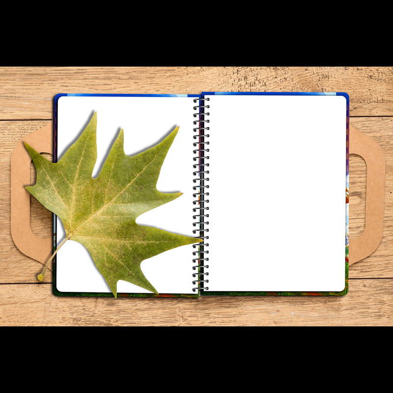 دفتر نقاشی 40 برگ مستر راد طرح سونیک کد fiory 2793