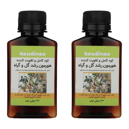  کود کامل و تقویت کننده هورمون رشد گل و گیاه کودینو مدل K-20 حجم 120 میلی لیتر بسته 2 عددی