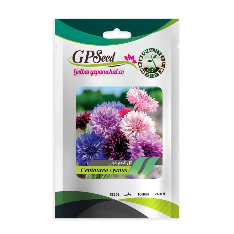 بذر گل گل گندم پامتوسط الوان گلبرگ پامچال کد GPF-075