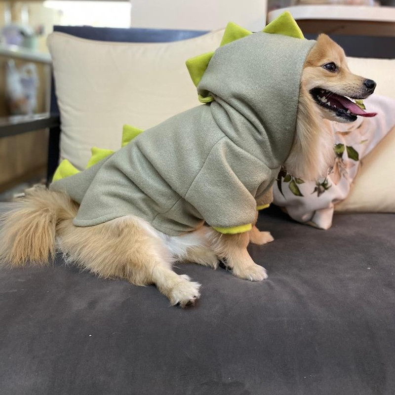 لباس سگ و گربه مدل EMEL کد DAI2 سایز L