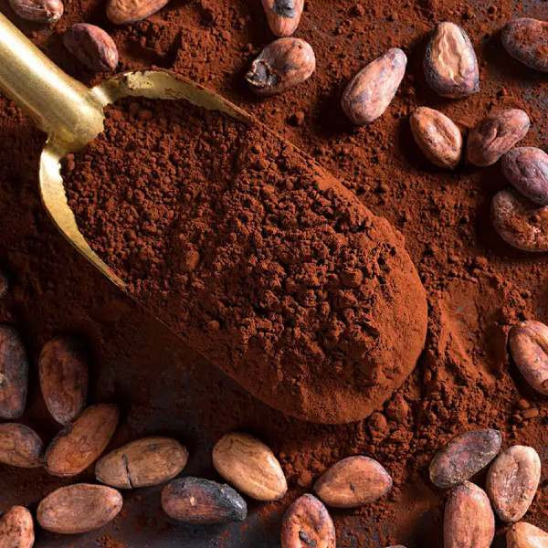 پودر کاکائو بهداد - 170 گرم