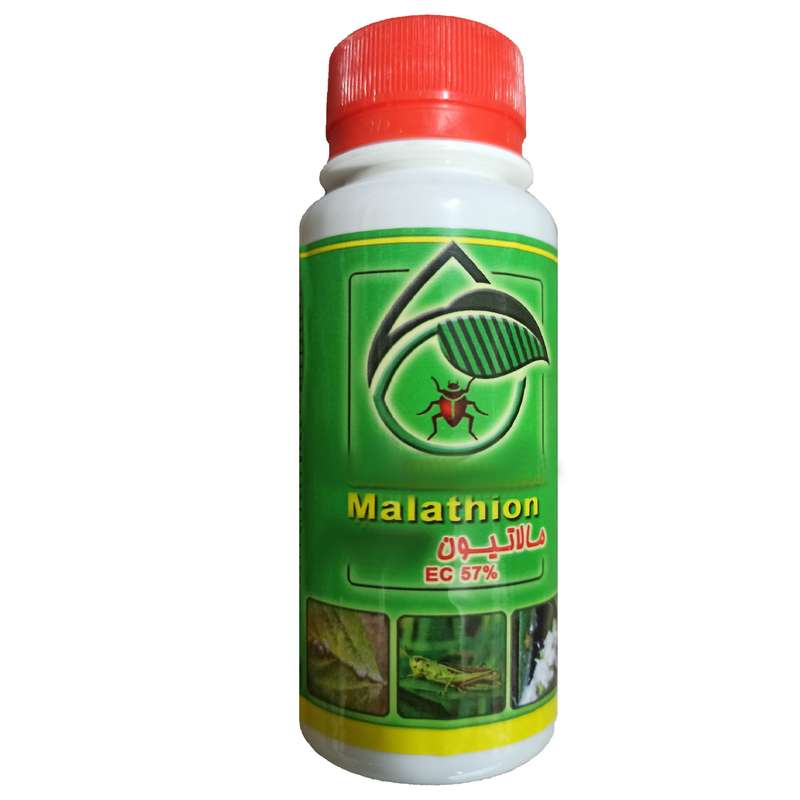 حشره کش و کنه کش مالاتیون مدل set100 حجم 100 میلی لیتر