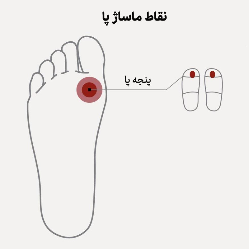 دمپایی زنانه مدل هارمونی کد 05