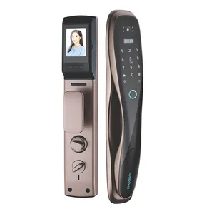 دستگیره هوشمند مدل DGL107