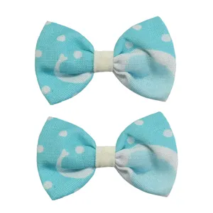 گیره مو دخترانه مدل a 57 بسته دو عددی