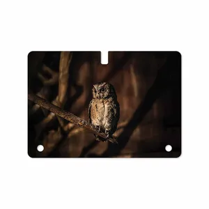 MAHOOT Owl Cover Sticker for Samsung Galaxy Tab S 10.5 2014 T805