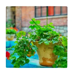 کاشی کارنیلا طرح گلدان شمعدانی لب حوض مدل لوحی کد klh2514