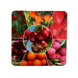 زیربشقابی و زیرقابلمه ای مدل HA-28