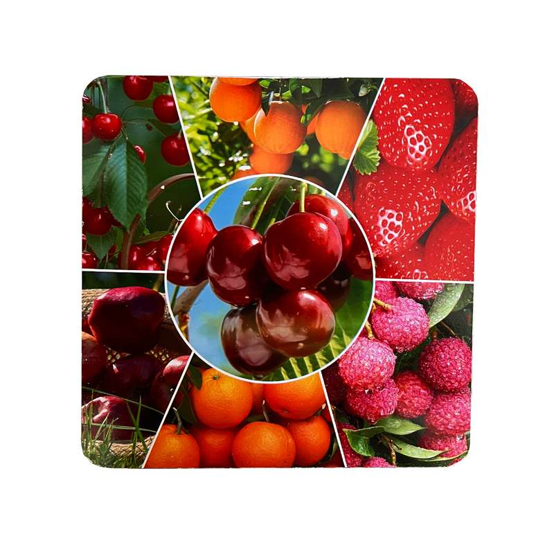 زیربشقابی و زیرقابلمه ای مدل HA-28