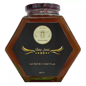عسل طبیعی کنار روشا - 1100 گرم