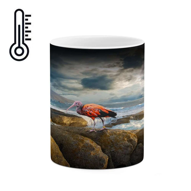 ماگ حرارتی کاکتی مدل پرنده کد mgh14356