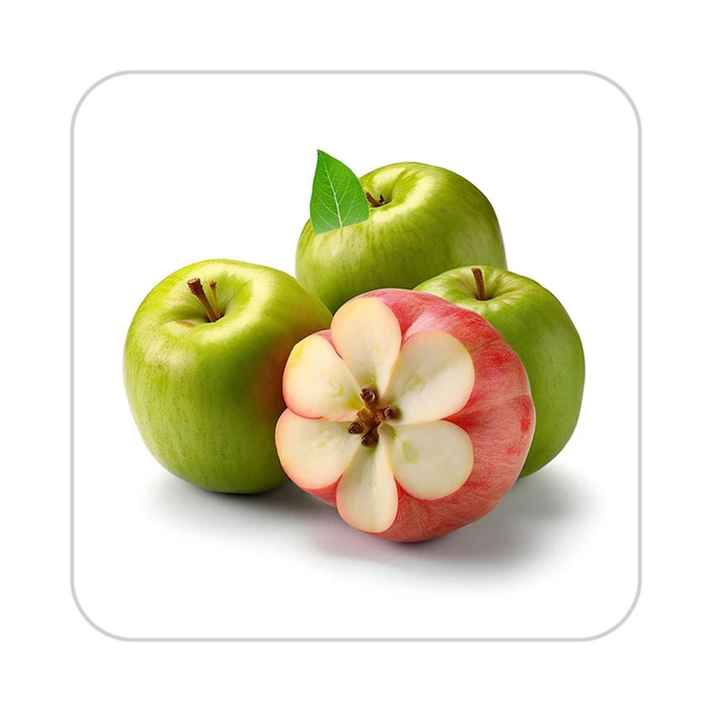 زیر لیوانی کاکتی طرح میوه مدل mp21906