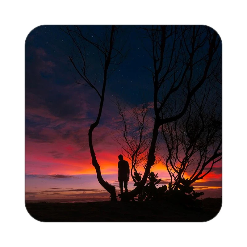 زیر لیوانی کاکتی مدل عاشقانه کد mp13317