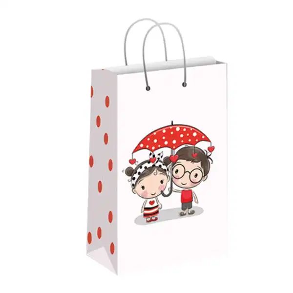 ساک هدیه مدل 10253 بسته 12 عددی