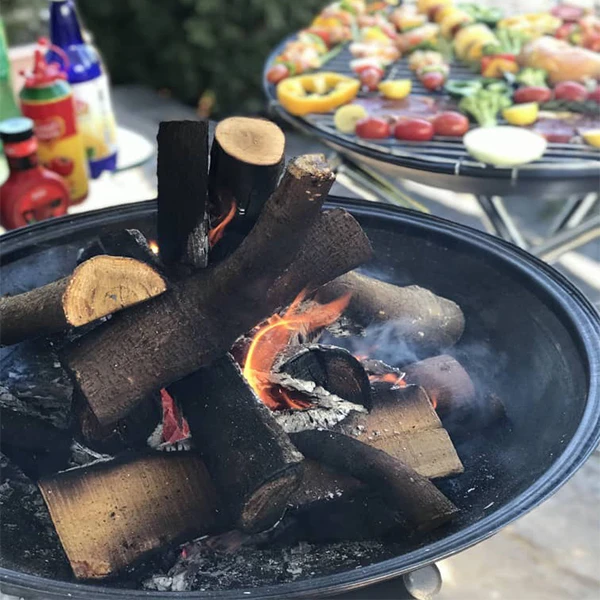 عکس شماره 14 : باربیکیو پارمیس مدل bbq 412