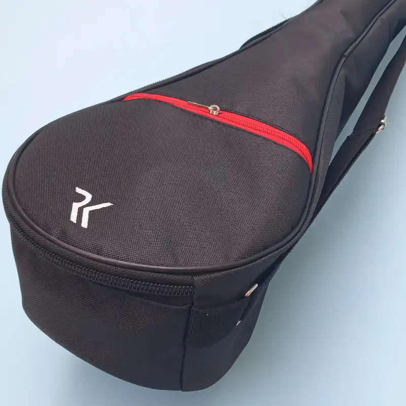 سافت کیس سه تار آر کی مدل 2