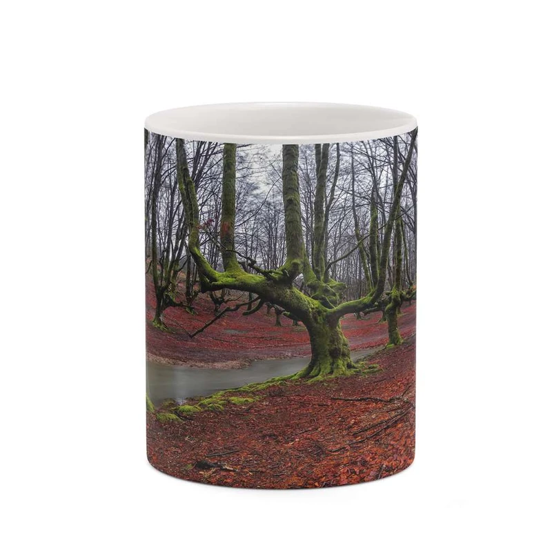 ماگ کاکتی مدل منظره پاییزی کد mgh18545