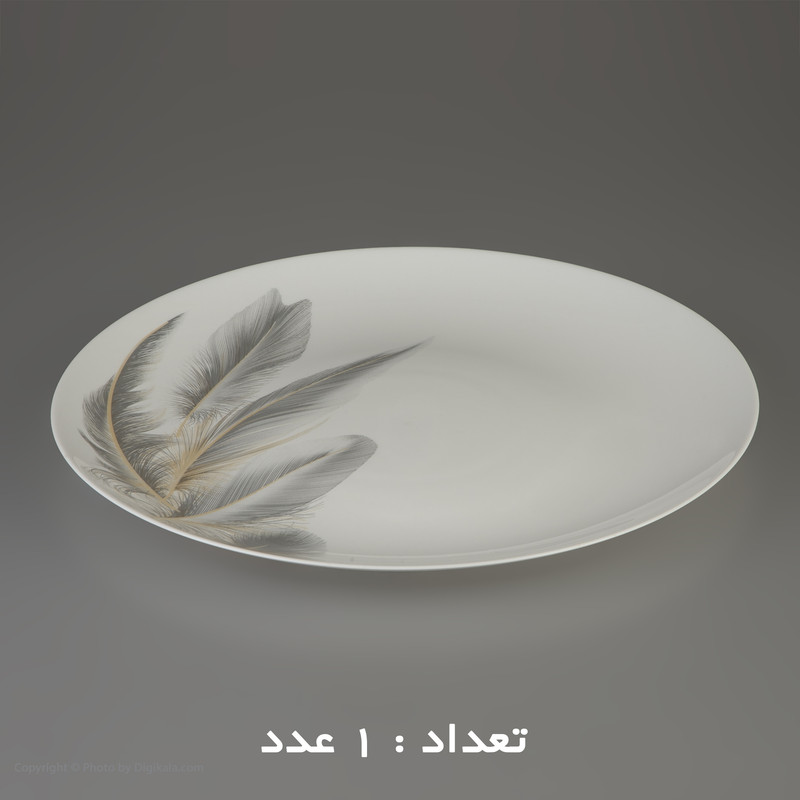 سرویس 26 پارچه اپال طرح دایره مدل کلاسیک آیهان