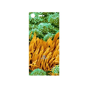 MAHOOT Atom Universe 6 Cover Sticker for Sony Xperia XZ Premium