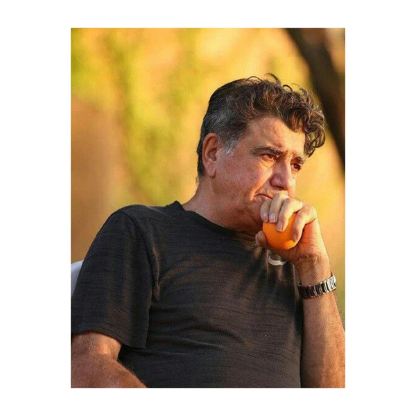 تابلو شاسی طرح محمدرضا شجریان کد 0013