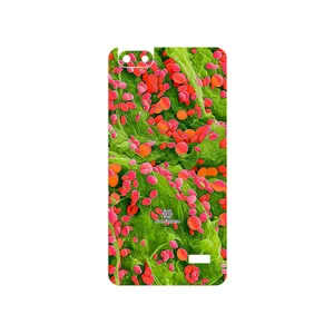 MAHOOT Atom Universe 3 Cover Sticker for Honor 4C