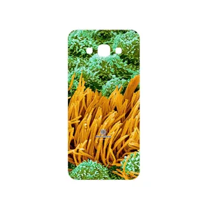MAHOOT Atom Universe 6 Cover Sticker for Samsung Galaxy A8