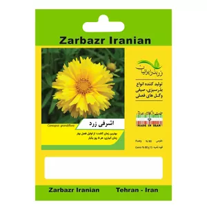 بذر گل اشرفی زرد زربذر ایرانیان کد ZBP-58
