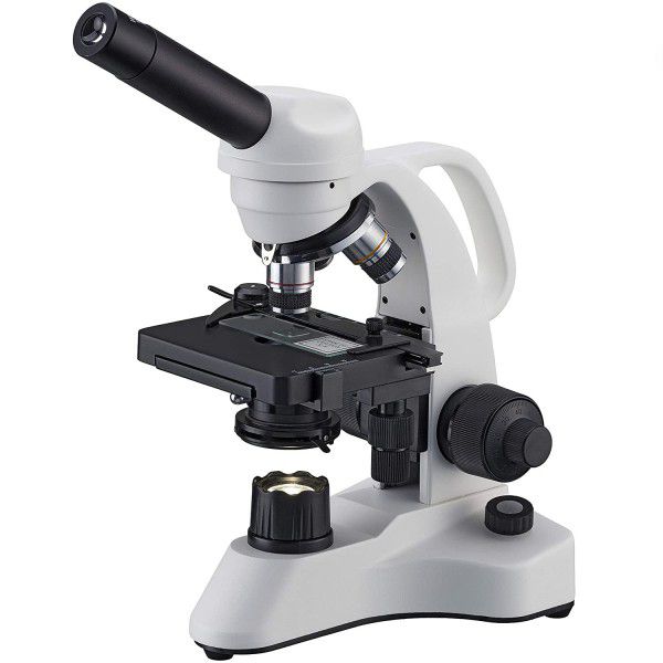 میکروسکوپ برسر مدل زیستی برسر x400