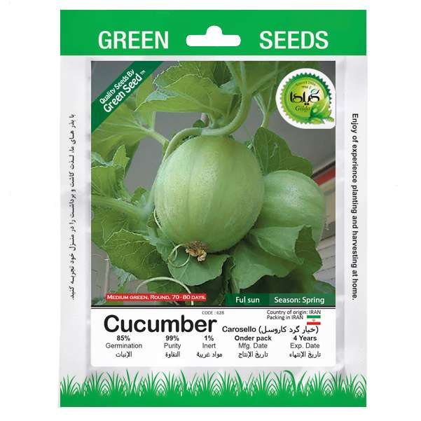 بذر خیار گرد کاروسل گیلدا کد 627
