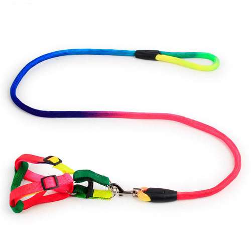 قلاده و بند قلاده سگ و گربه مدل RAINBOW