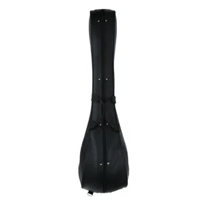 هارد کیس سه تار مدل 001