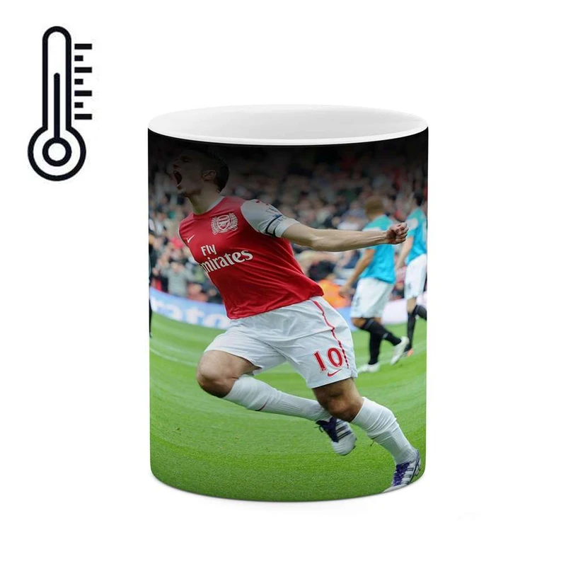 ماگ حرارتی کاکتی مدل Robin Van Persie کد mgh10400