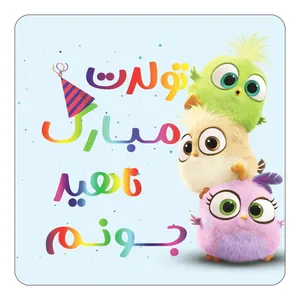 مگنت کاکتی طرح تولد ناهید مدل پرندگان خشمگین Angry Birds کد mg62145