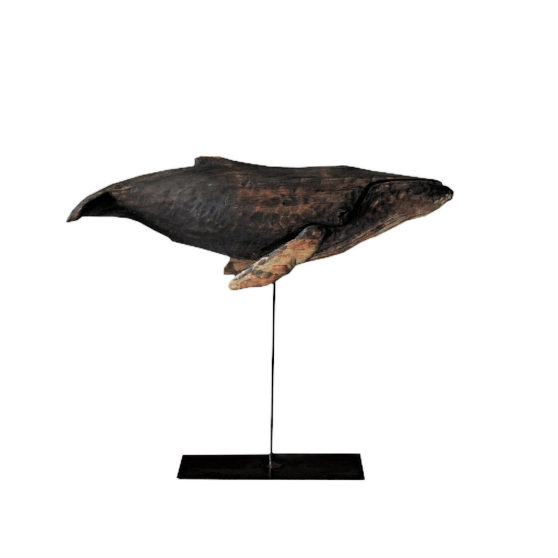 مجسمه مدل نهنگ گوژپشت