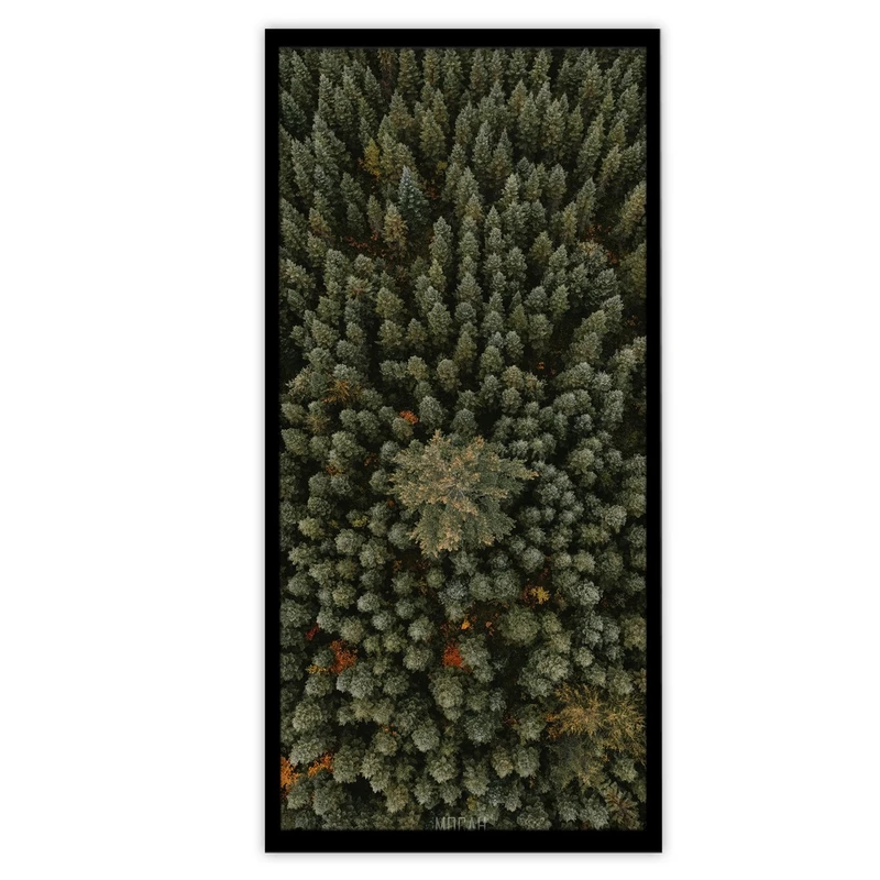 تابلو بکلیت طرح عکاسی طبیعت جنگل سوزنی مدل B-S3177