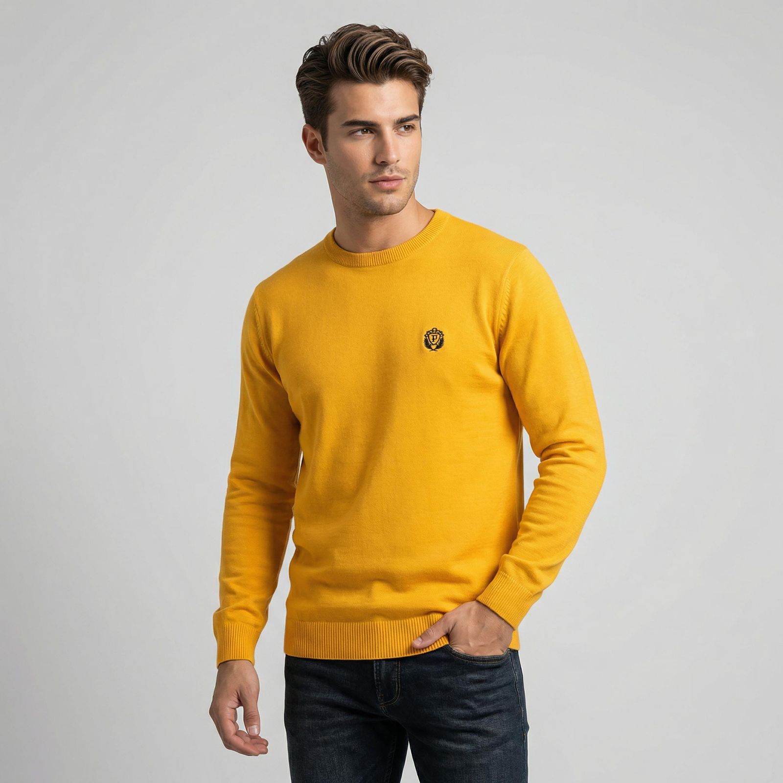 پلیور یقه گرد مردانه تریکو پاییزان مدل  PR700 -  - 1