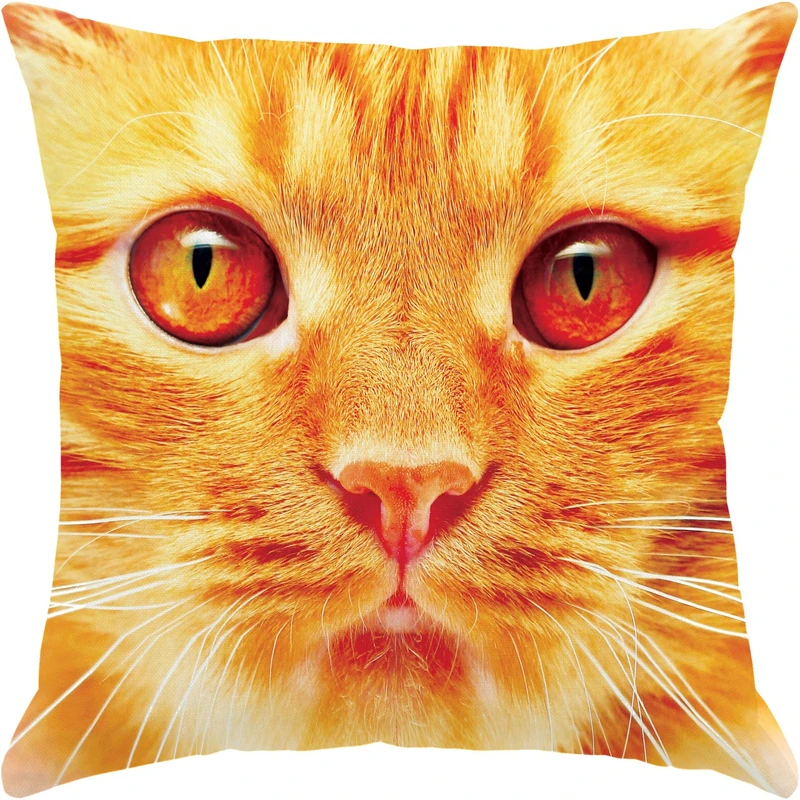 کوسن سایز بزرگ رنس مدل S3-10049