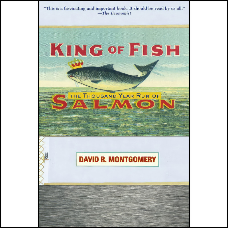 کتاب King Of Fish اثر David R. Montgomery انتشارات تازه ها