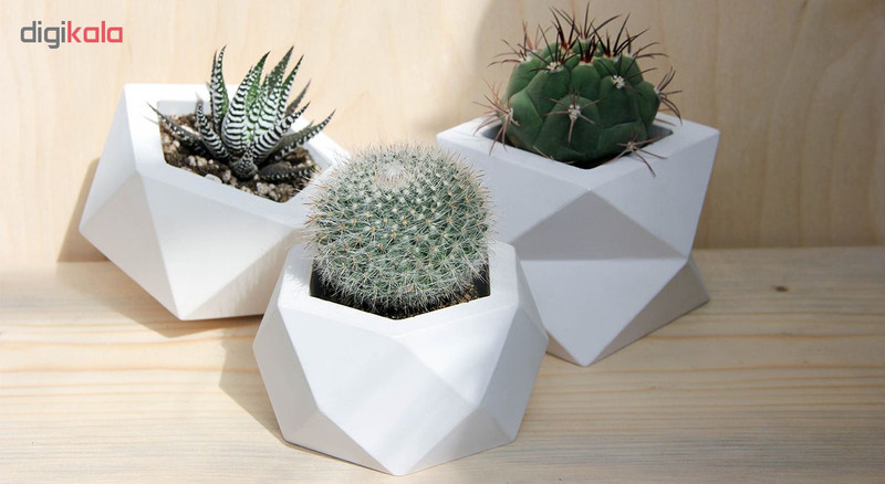 گلدان زویا گالری مدل Fluorescent Penta گلدان زویا گالری مدل Fluorescent Penta