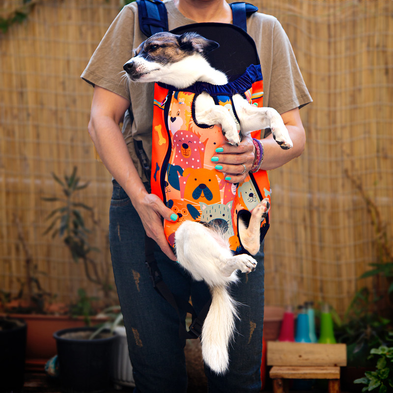 کیف حمل سگ و گربه تادو طرح آغوشی کد AGH113 سایز M