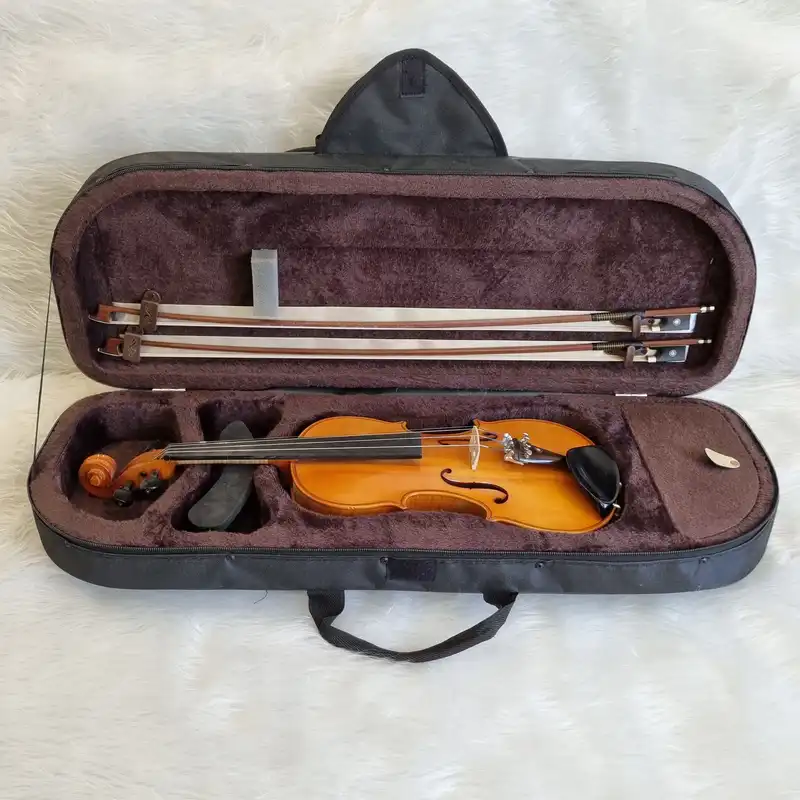 هاردکیس ویولن مدل HBBR