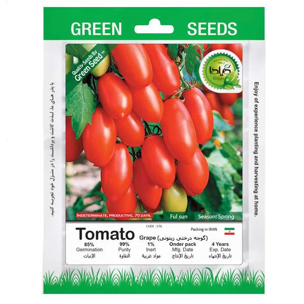 بذر گوجه درختی زیتونی گیلدا کد 576