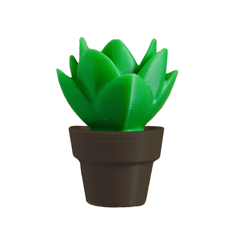 سرمدادی طرح کاکتوس مدل 03