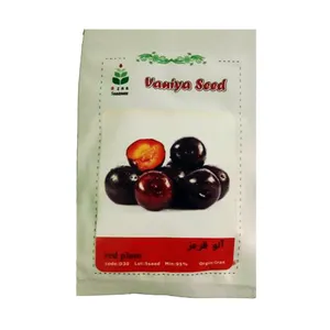 بذر آلو قرمز وانیا سید کد D30