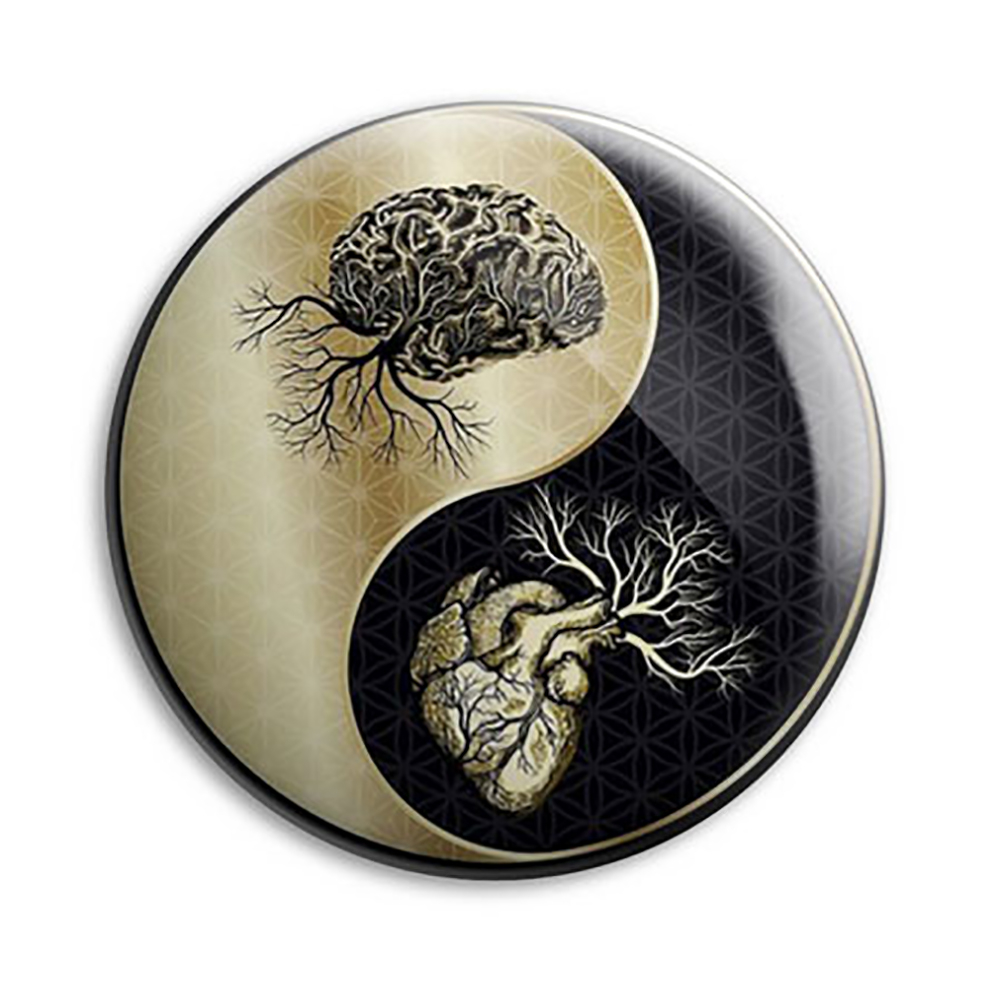 پیکسل مدل قلب و مغز کد Asp281