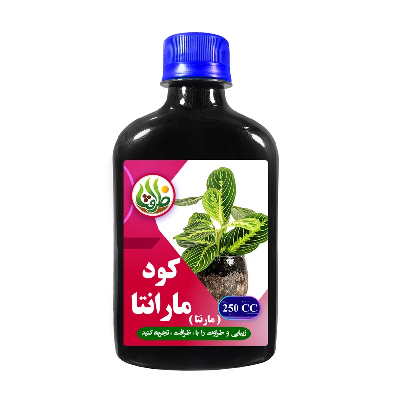 کود مایع مارانتا ظرافت مدل KO19170 حجم 250 میلی لیتر