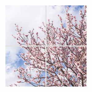 تایل سقفی آسمان مجازی مدل SK-417 سایز 60x60 سانتیمتر مجموعه 4 عددی